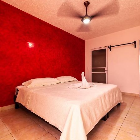 Hotel Bello Caribe Express 코수멜 외부 사진